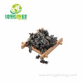 Black Fungus Extract 50%Polysaccharide